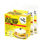 Flea trap