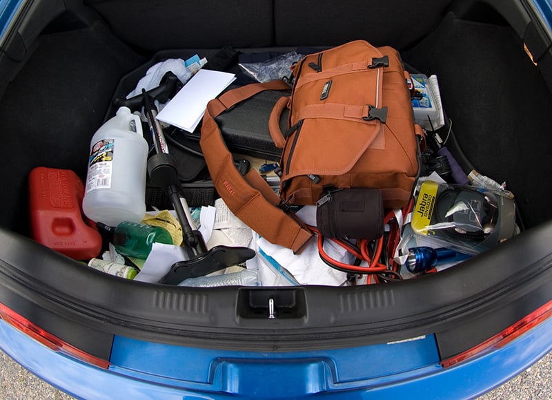 Get Rid of Fleas in Your Car 9 Quick and Effective Tips