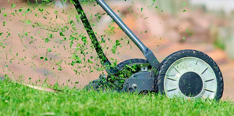 Mowing grass in the yard